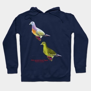 Pink-necked Green Pigeon | Treron vernans ⚥ Hoodie